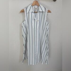 Banana Republic White and Blue Button Down Shirtdress with Dress Shirt Collar